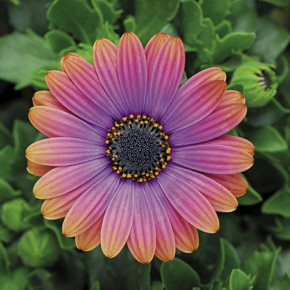 Be Good too YOU👣👀💋